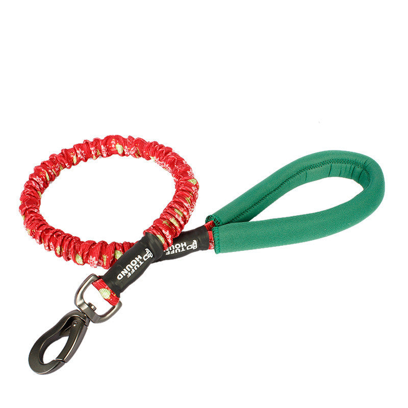 Laisse pour chiens de grandes, moyennes et petites races