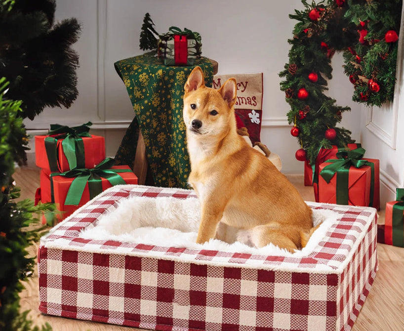 Comfort Nest Pet Bed - ambiance intérieur