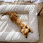 Lit Mémoire de Forme Premium pour Chien