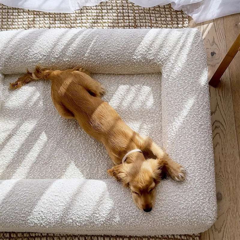 Lit Mémoire de Forme Premium pour Chien