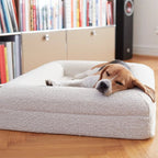 Lit Mémoire de Forme Premium pour Chien