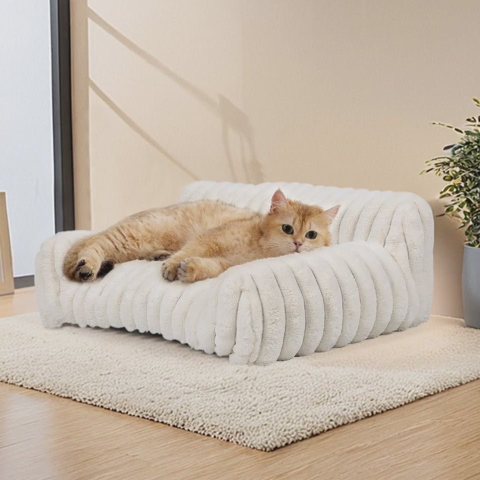 Lit d'Hiver Chaud pour Chiens Moyens et Grands et Maison de Chat